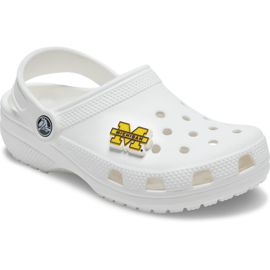 University of Michigan - US 5397