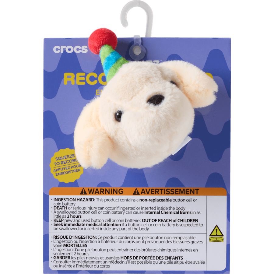 Record Your Own Sound Birthday - US 5209