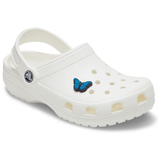 Blue Butterfly - US 9125