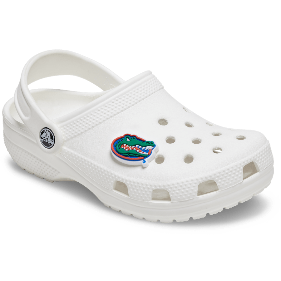 University of Florida - US 8429