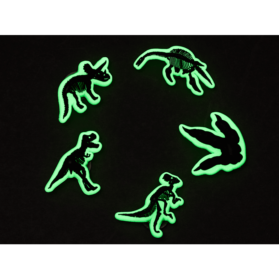 Glow In The Dark Dino 5 Pack - US 3039