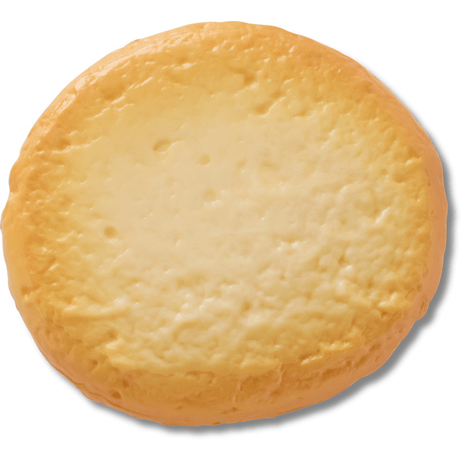 Realistic Cookie 1 - US 6725