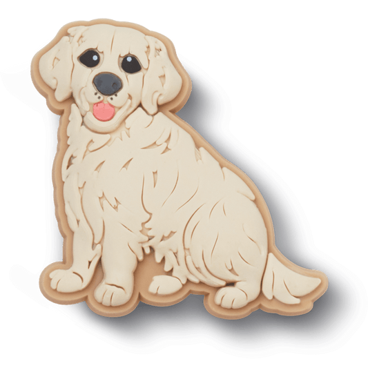 Golden Retriever Puppy - US 6211