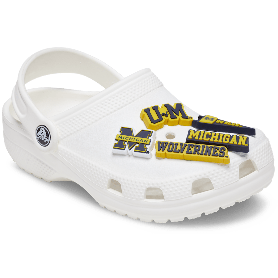 University of Michigan 5 Pack - US 2740