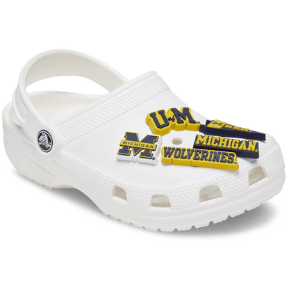University of Michigan 5 Pack - US 2740