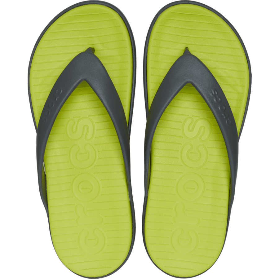 Coast Flip - US 1539