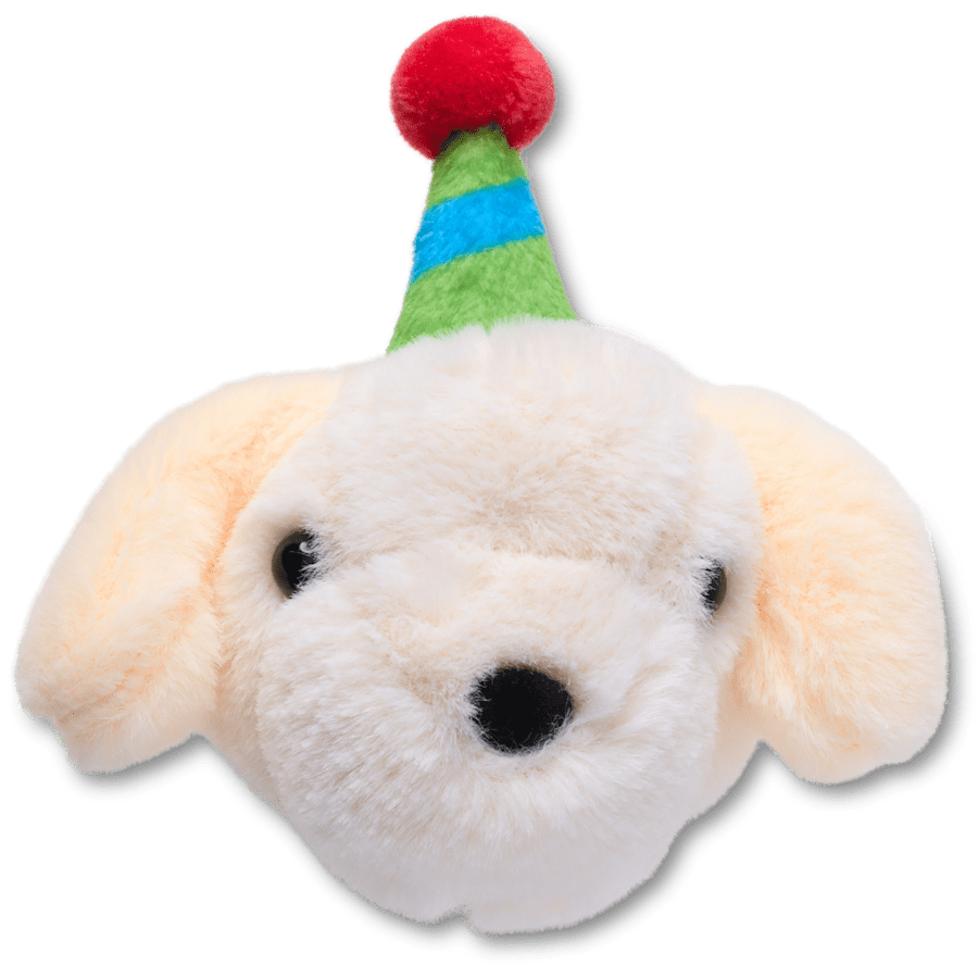 Record Your Own Sound Birthday - US 5209