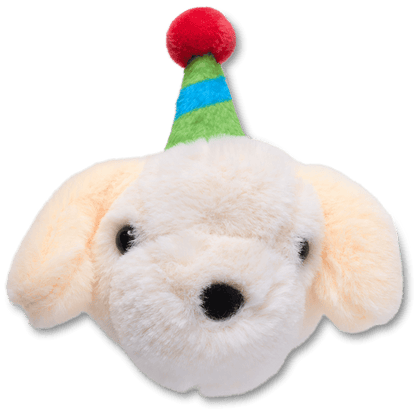 Record Your Own Sound Birthday - US 5209