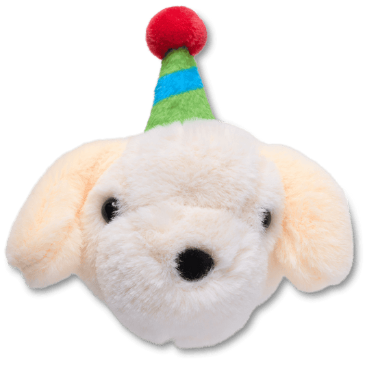 Record Your Own Sound Birthday - US 5209