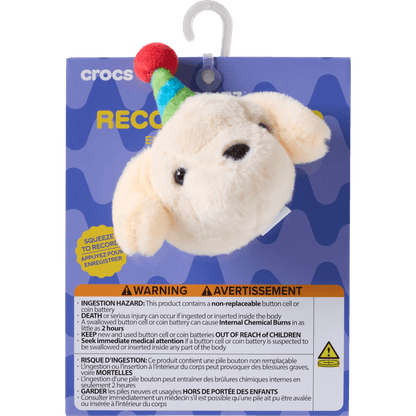 Record Your Own Sound Birthday - US 5209