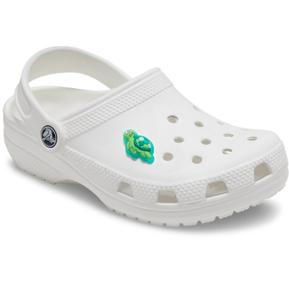 Gem Sea Turtle - US 5823