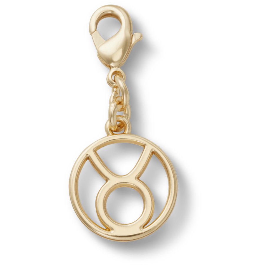Taurus Charm - US 3743