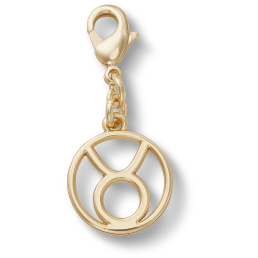 Taurus Charm - US 3743